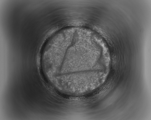 X0000096130679200802151314