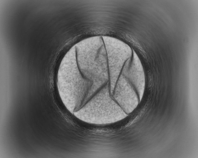 X0000096130681200802151314