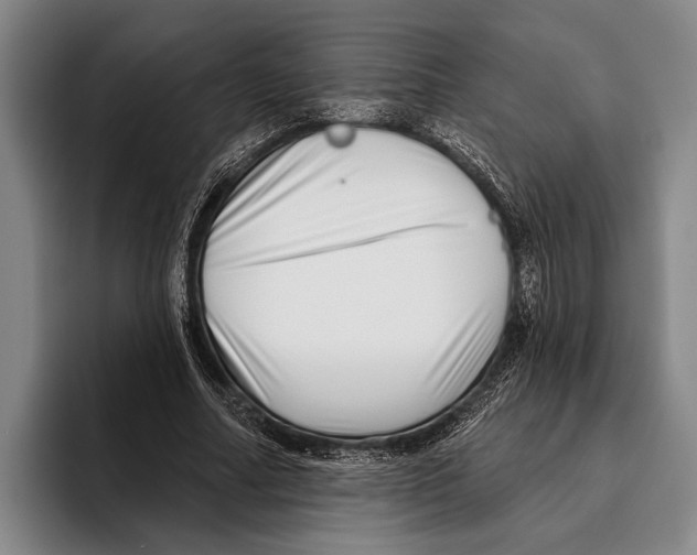 X0000096130682200802151314