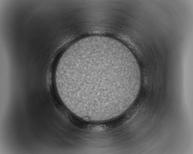 X0000096130683200802151314