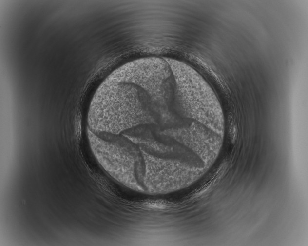 X0000096130685200802151314