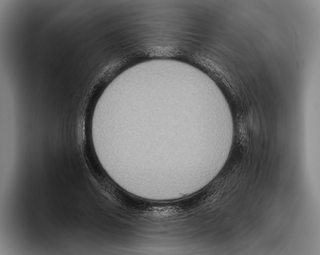 X0000096130686200802151314