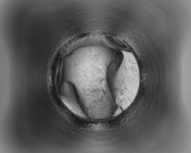 X0000096130688200802151314