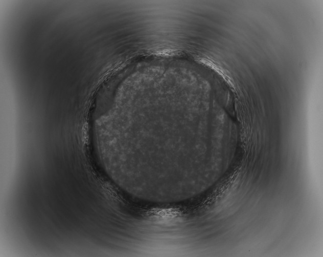 X0000096130689200802151314