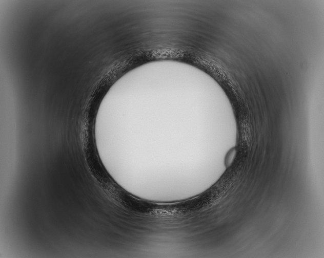 X0000096130690200802151314