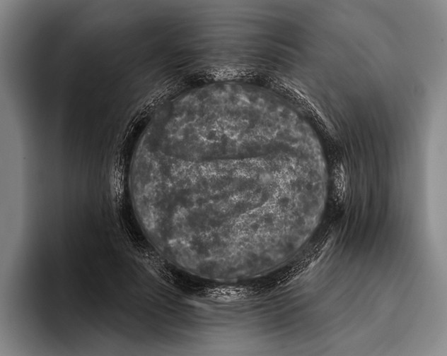 X0000096130691200802151314