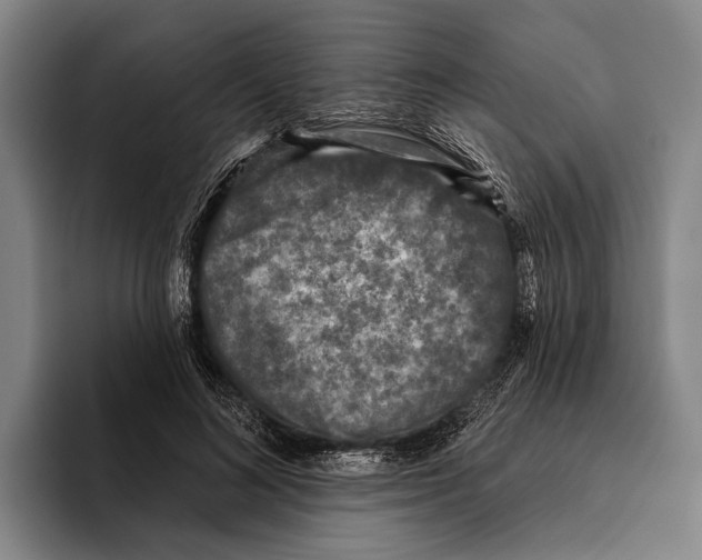 X0000096130692200802151314