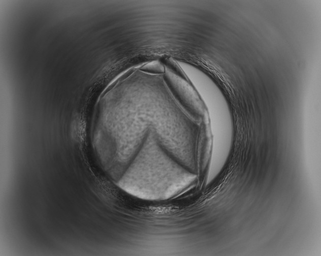 X0000096130693200802151314