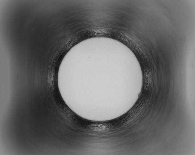 X0000096130698200802151314