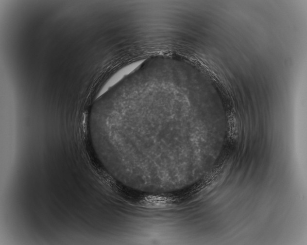 X0000096130699200802151314