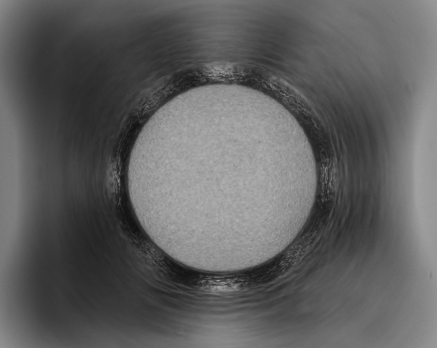 X0000096130702200802151314