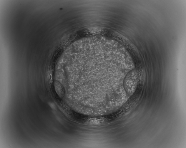 X0000096130703200802151314