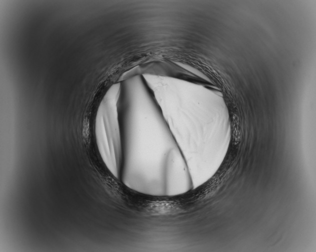 X0000096130704200802151314