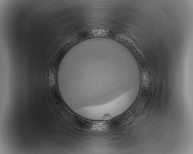 X0000096130705200802151314