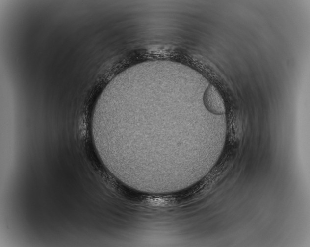 X0000096130706200802151314