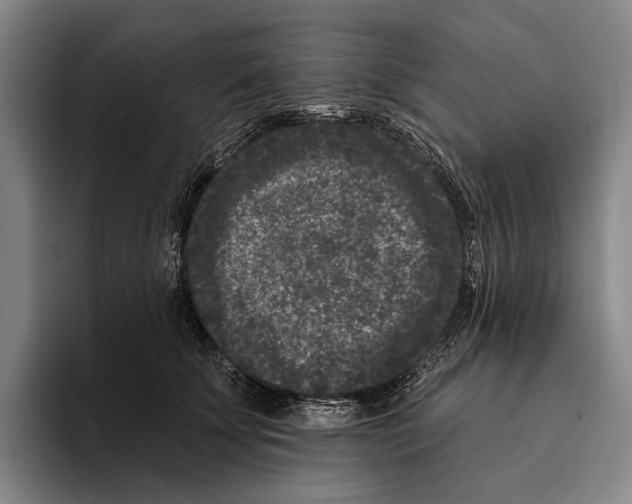 X0000096130707200802151314