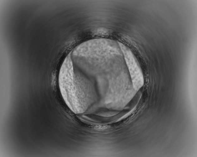 X0000096130708200802151314