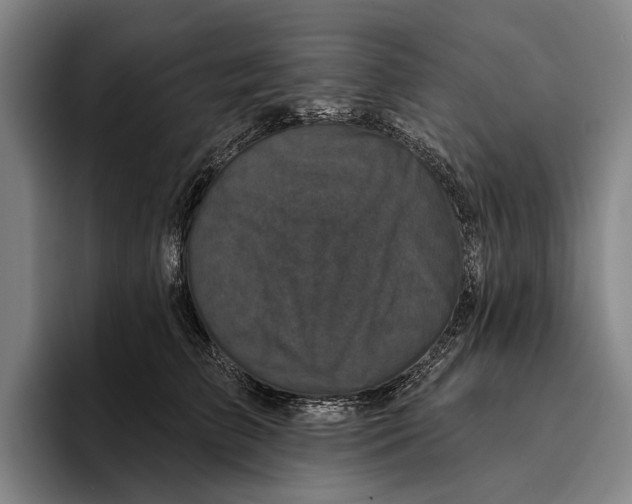 X0000096130709200802151314