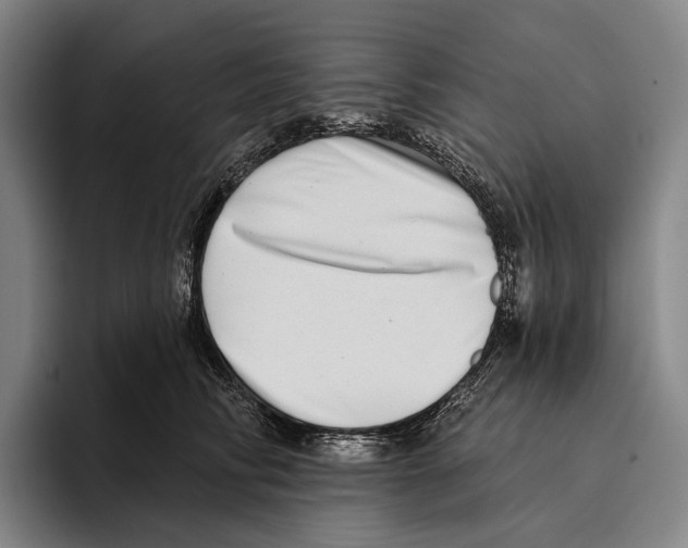 X0000096130710200802151314