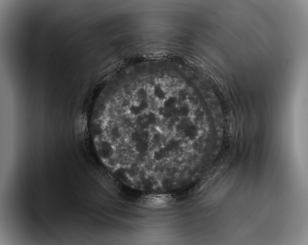 X0000096130711200802151314