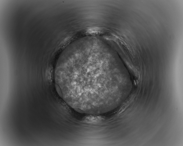 X0000096130712200802151314