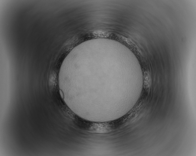 X0000096130713200802151314