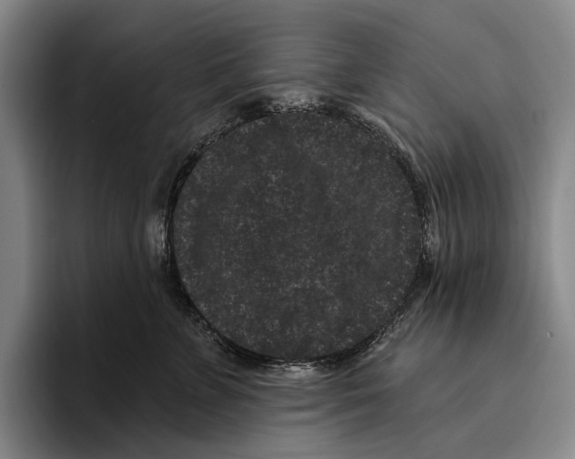 X0000096130715200802151314