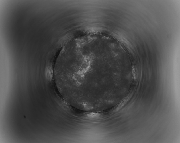 X0000096130718200802151314