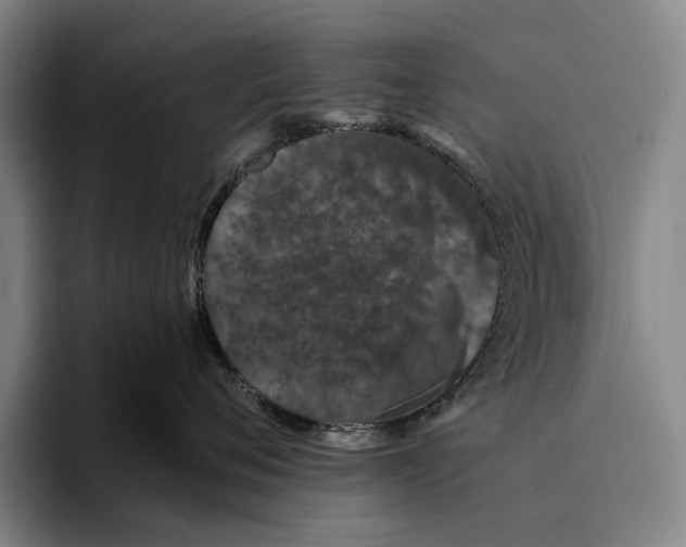 X0000096130720200802151314