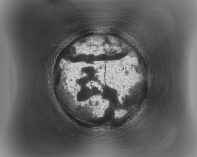 X0000096130721200802151313