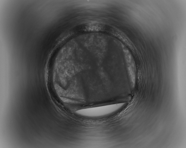 X0000096130722200802151313