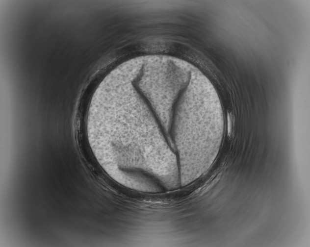 X0000096130723200802151313