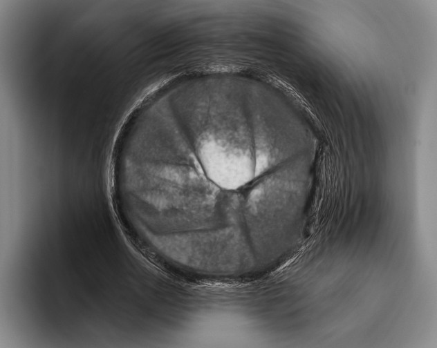 X0000096130726200802151313