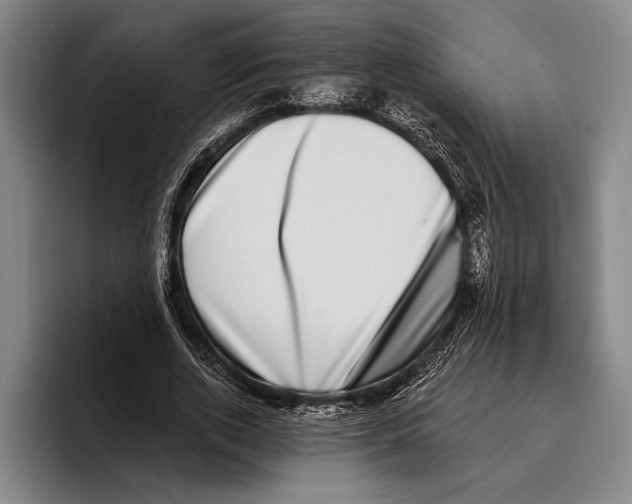 X0000096130728200802151313