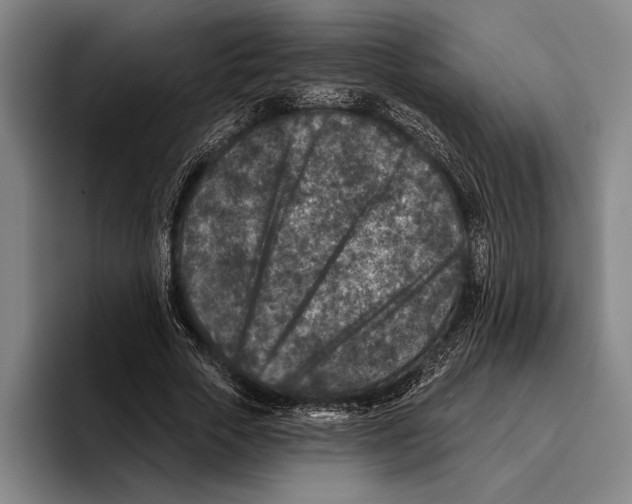 X0000096130729200802151313