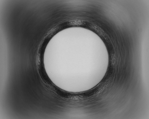 X0000096130731200802151313