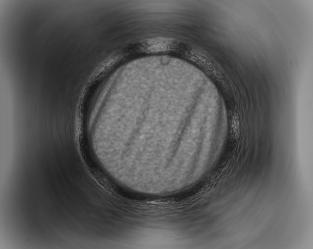 X0000096130732200802151313