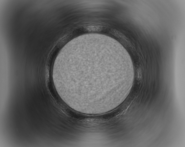 X0000096130733200802151313