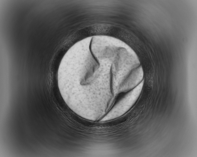 X0000096130735200802151313