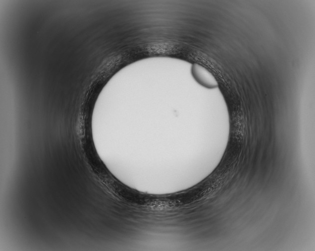 X0000096130738200802151313