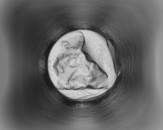 X0000096130739200802151313