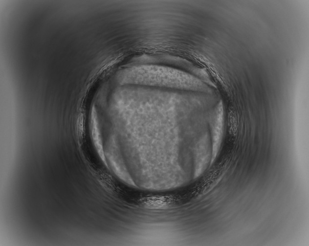 X0000096130740200802151313