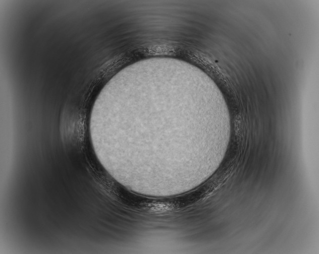 X0000096130741200802151313