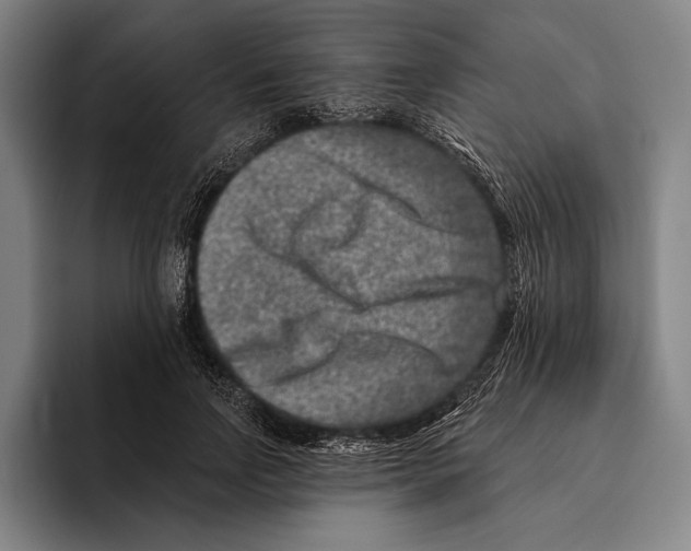 X0000096130742200802151313