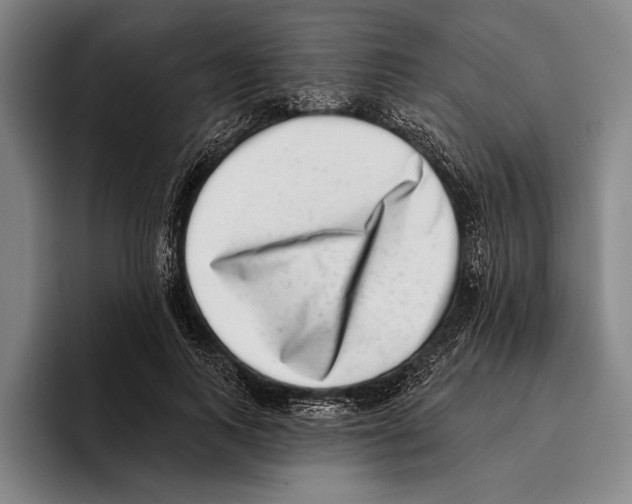 X0000096130743200802151313