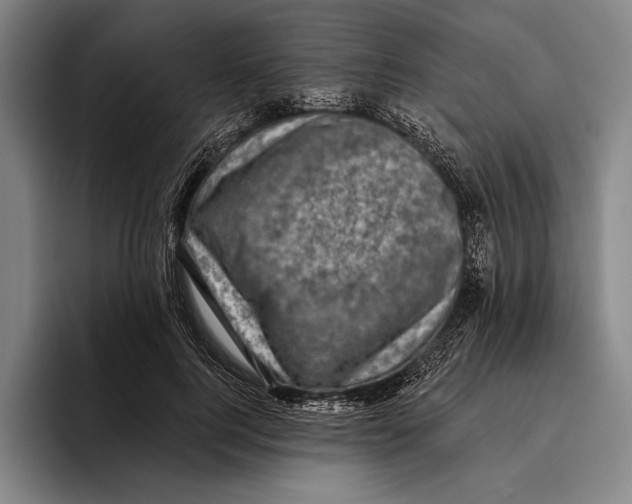 X0000096130744200802151313