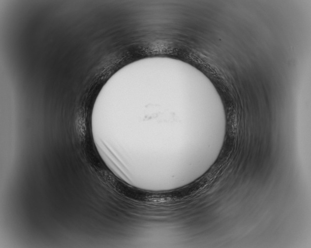 X0000096130746200802151313