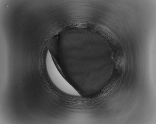 X0000096130748200802151313