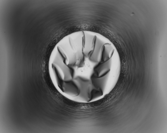 X0000096130750200802151313