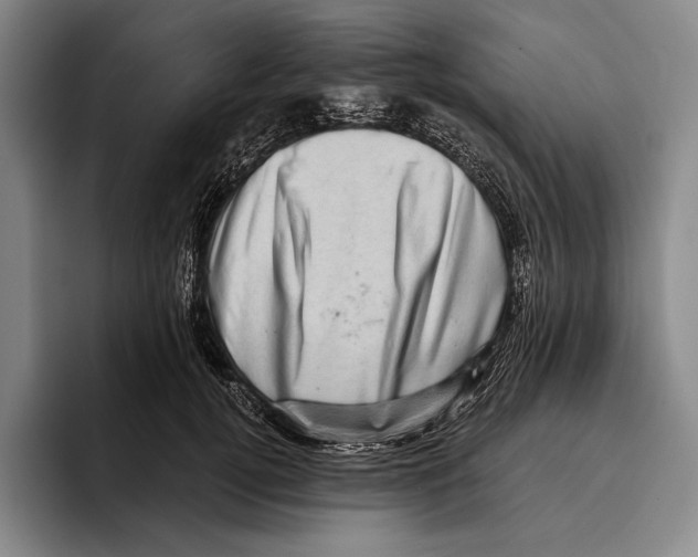 X0000096130752200802151313